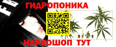 ПСИЛОЦИБИНОВЫЕ ГРИБЫ Усть-Джегута