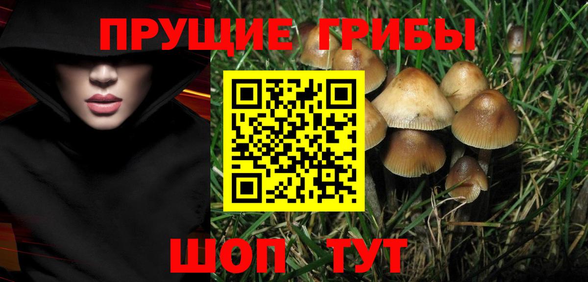 Галлюциногенные грибы Cubensis  Вход с VPN  Гагарин 